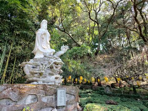 禪機山仙佛寺簡介|禪機山仙佛寺